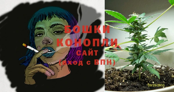 кокс Гусь-Хрустальный