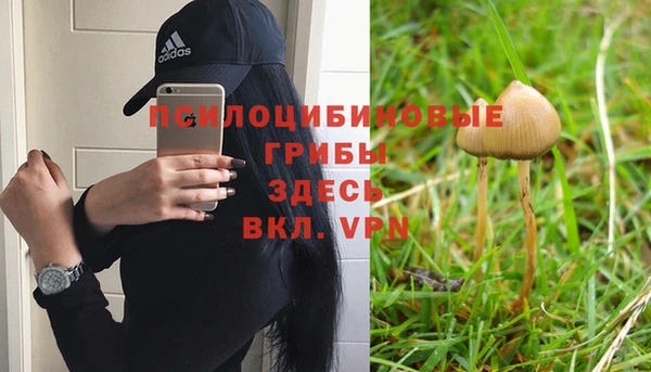 амфетамин Гусиноозёрск