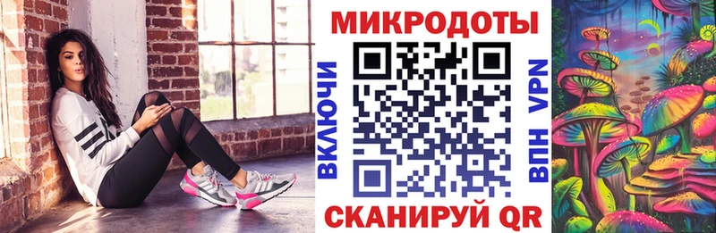 Галлюциногенные грибы Cubensis  цены наркотик  это телеграм  Новая Ладога 
